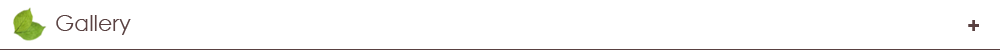 갤러리 타이틀